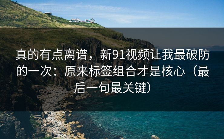 真的有点离谱，新91视频让我最破防的一次：原来标签组合才是核心（最后一句最关键）